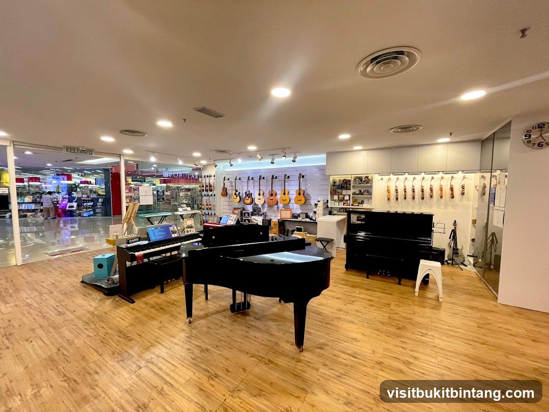Musical Instrument Store