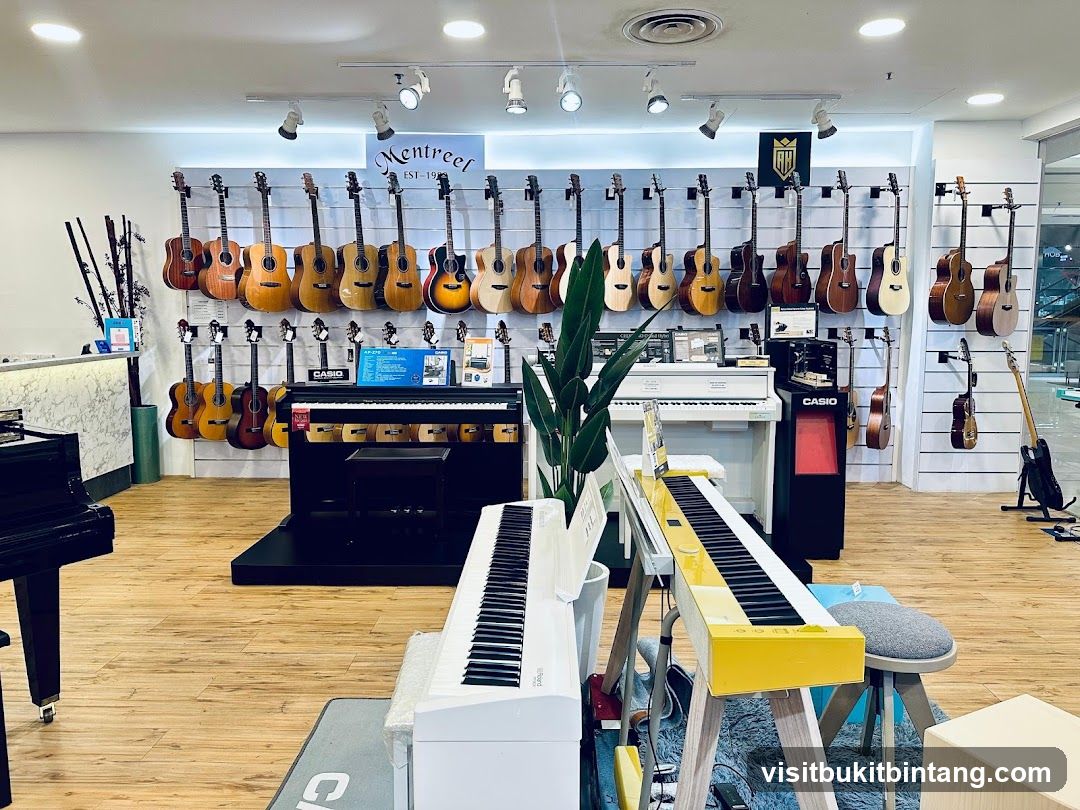 Musical Instrument Store
