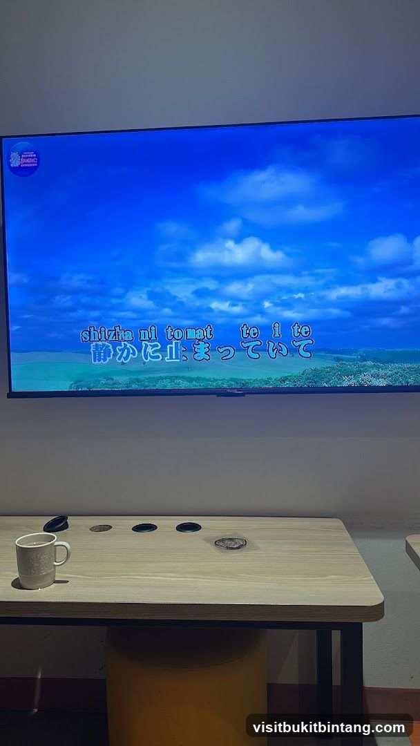 Karaoke Screen with Lyrics