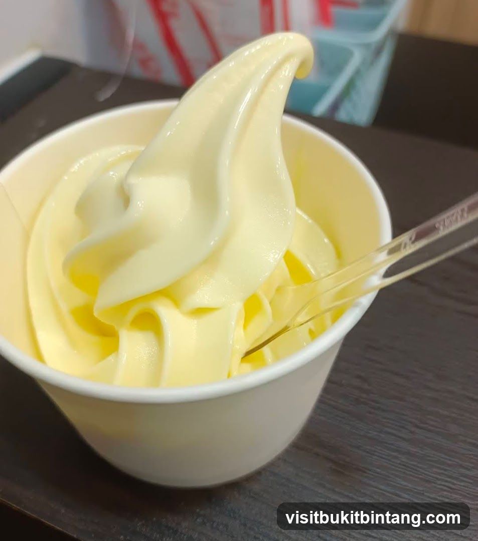 Soft Serve Ice Cream