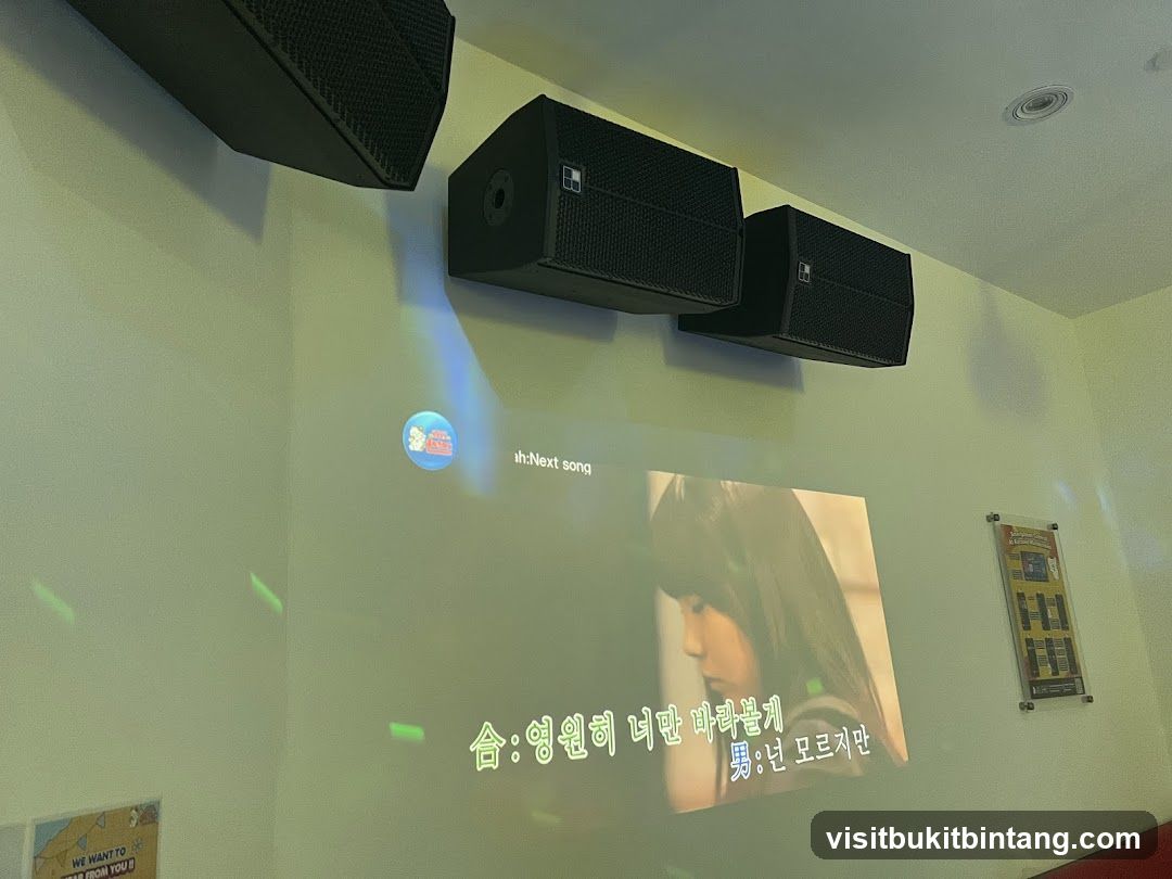 Karaoke Room
