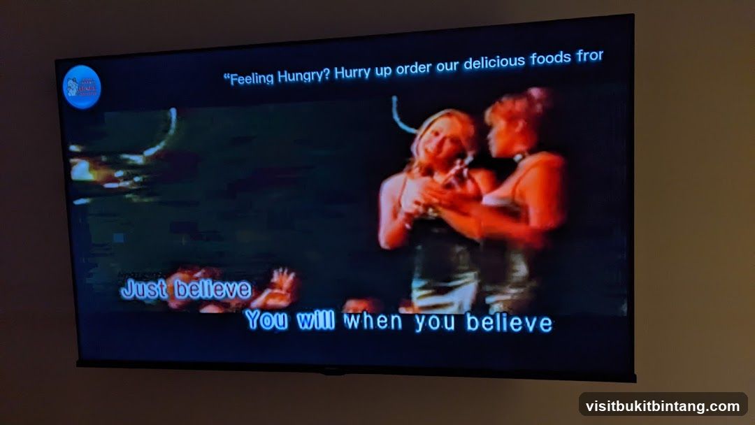 Karaoke Screen