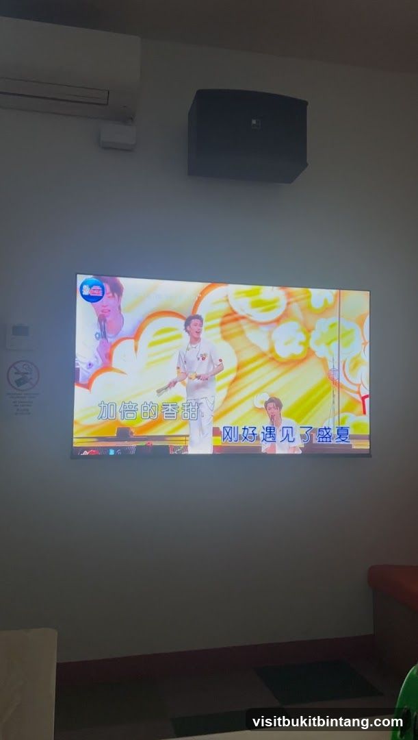 Karaoke Screen with Performers