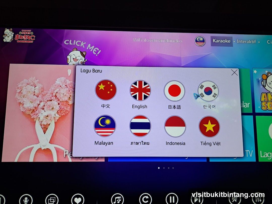 Karaoke Language Selection