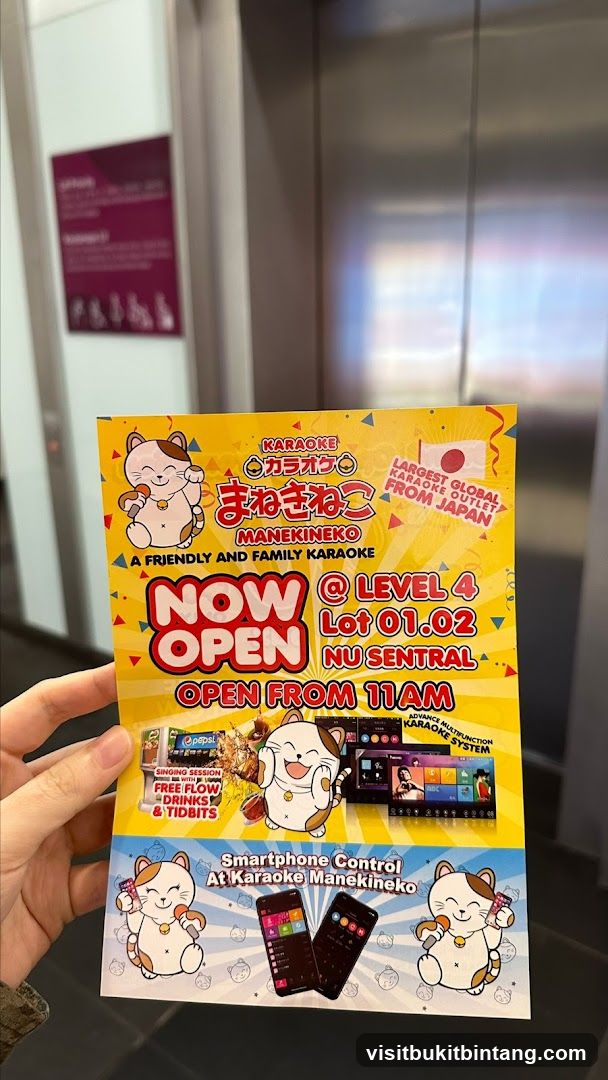Manekineko Karaoke Flyer