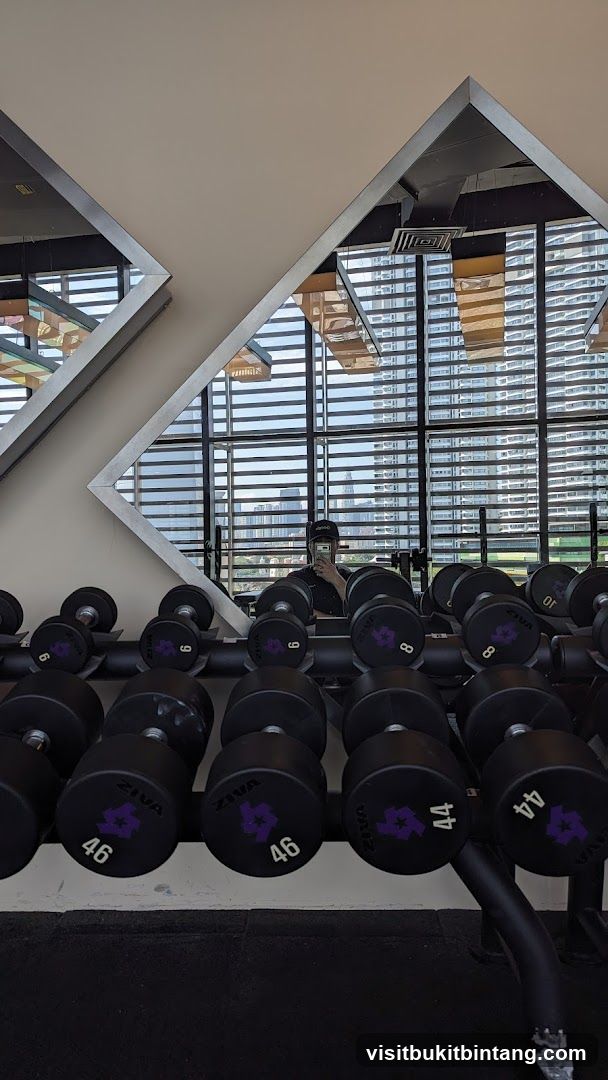 Gym Dumbbells