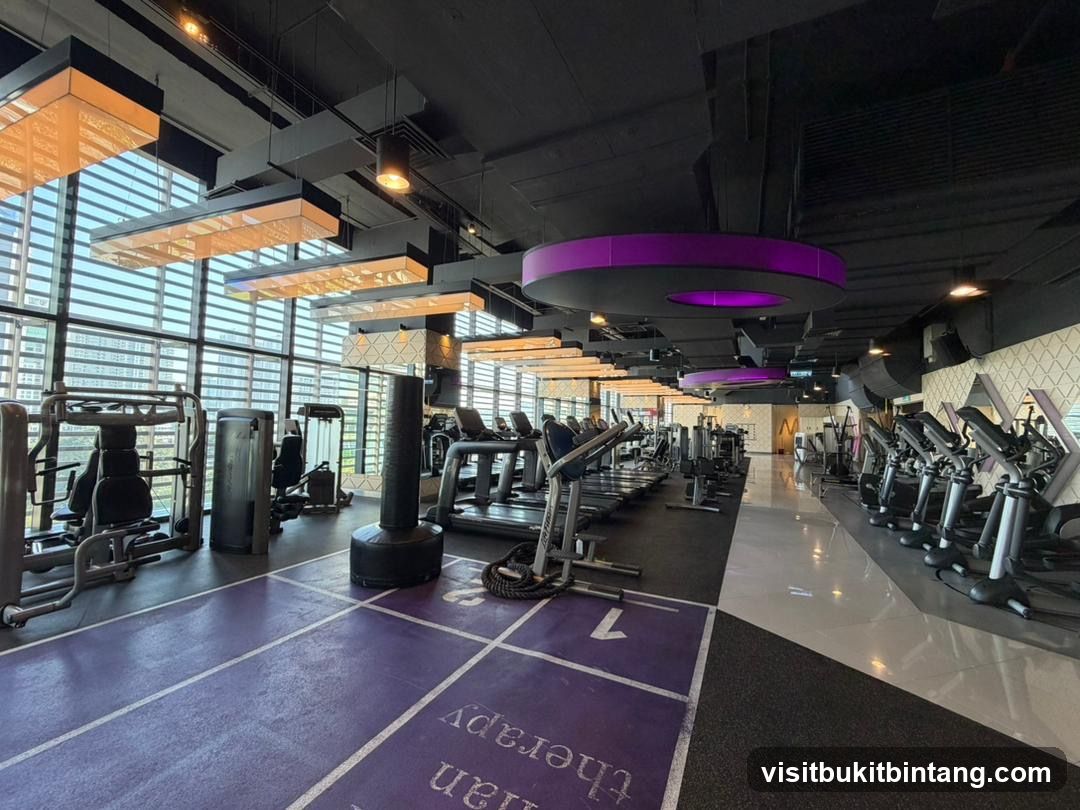 Modern Gym Interior