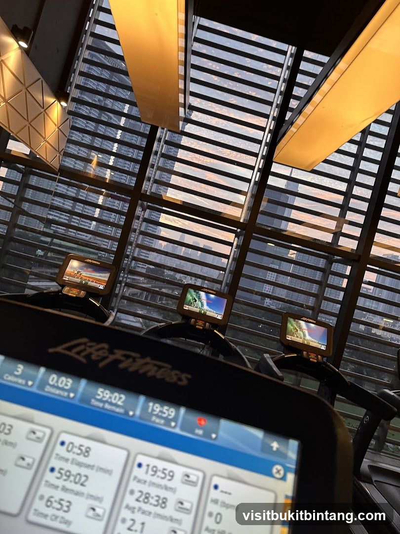 Gym Treadmills