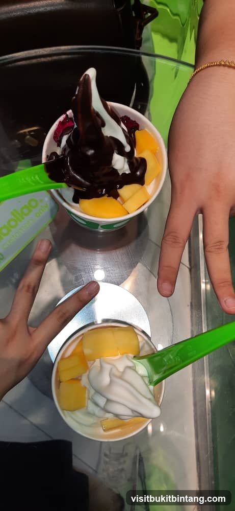 Frozen Yogurt with Fruit and Chocolate Sauce