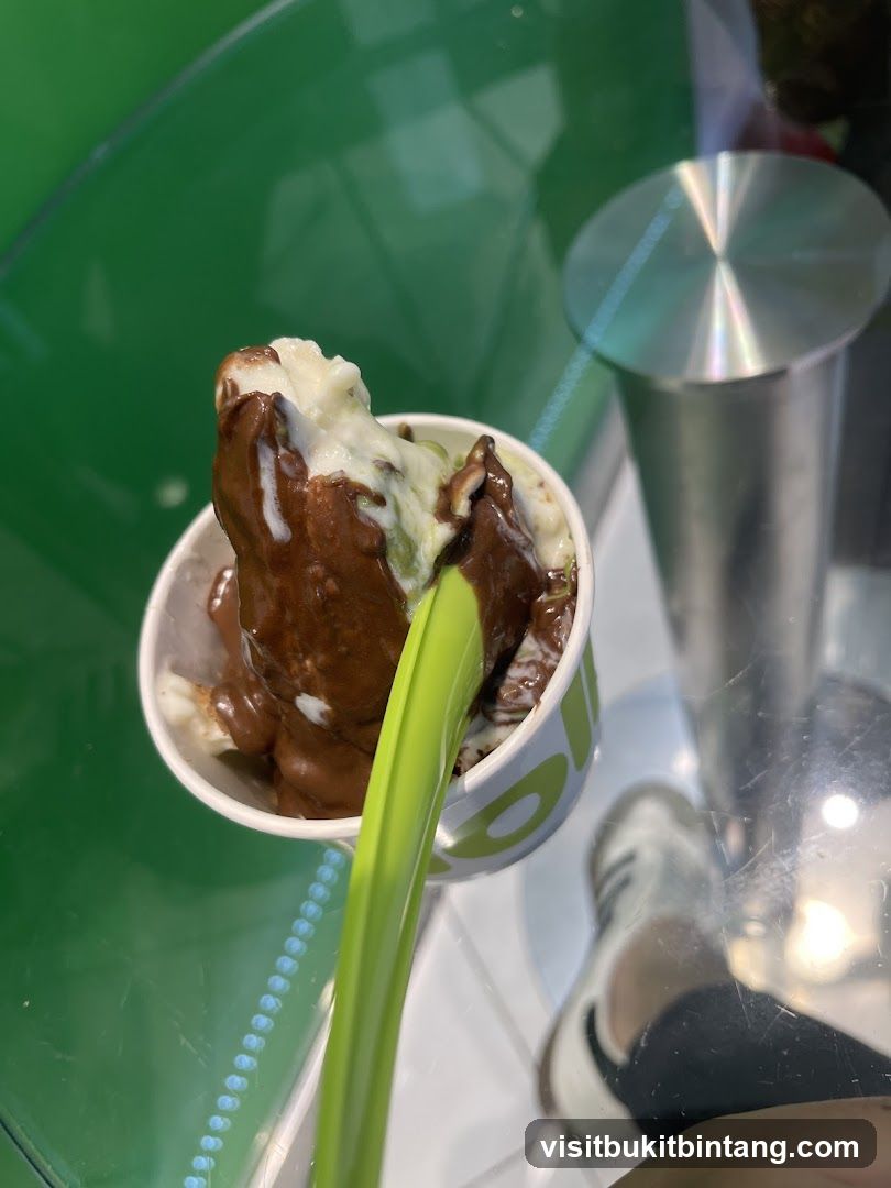 Frozen Yogurt with Chocolate Topping