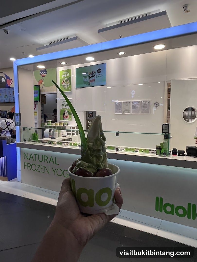 Natural Frozen Yogurt Shop