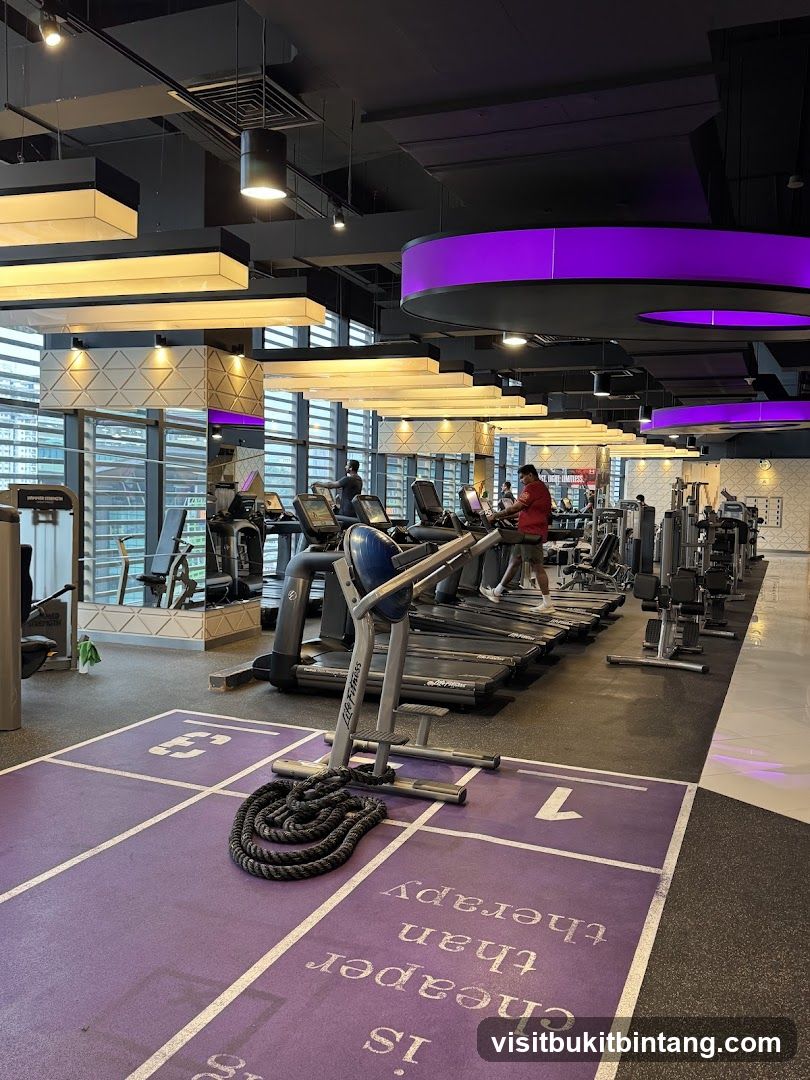 Gym Interior with Treadmills