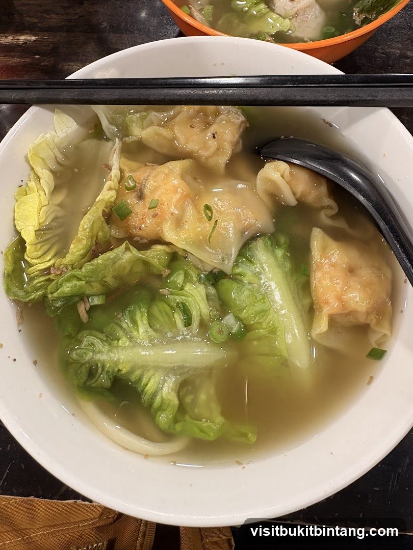 Wonton Soup