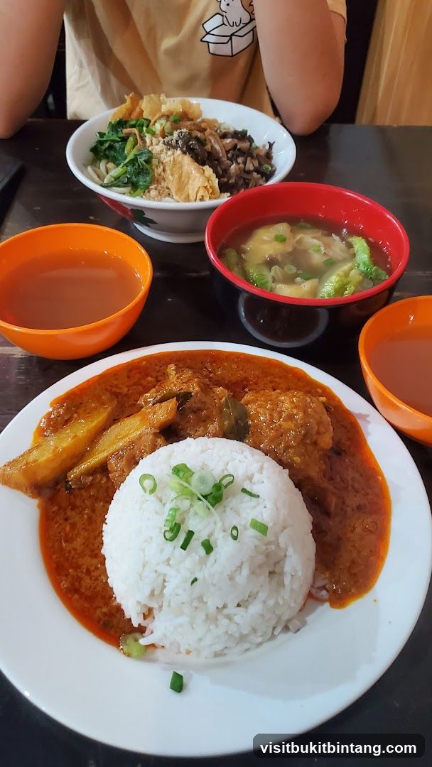 Curry Rice and Noodles