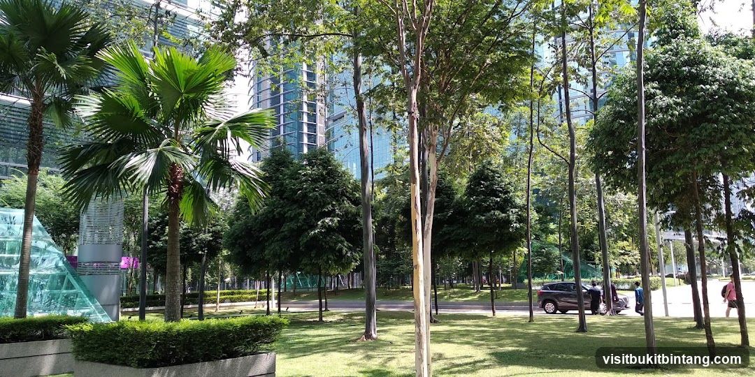 Park with Modern Buildings