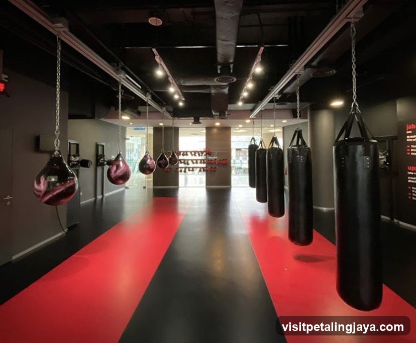 Gym Interior with Punching Bags