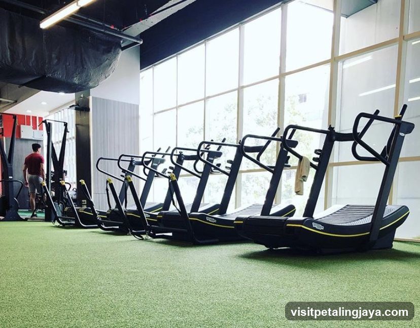 Gym Interior with Treadmills