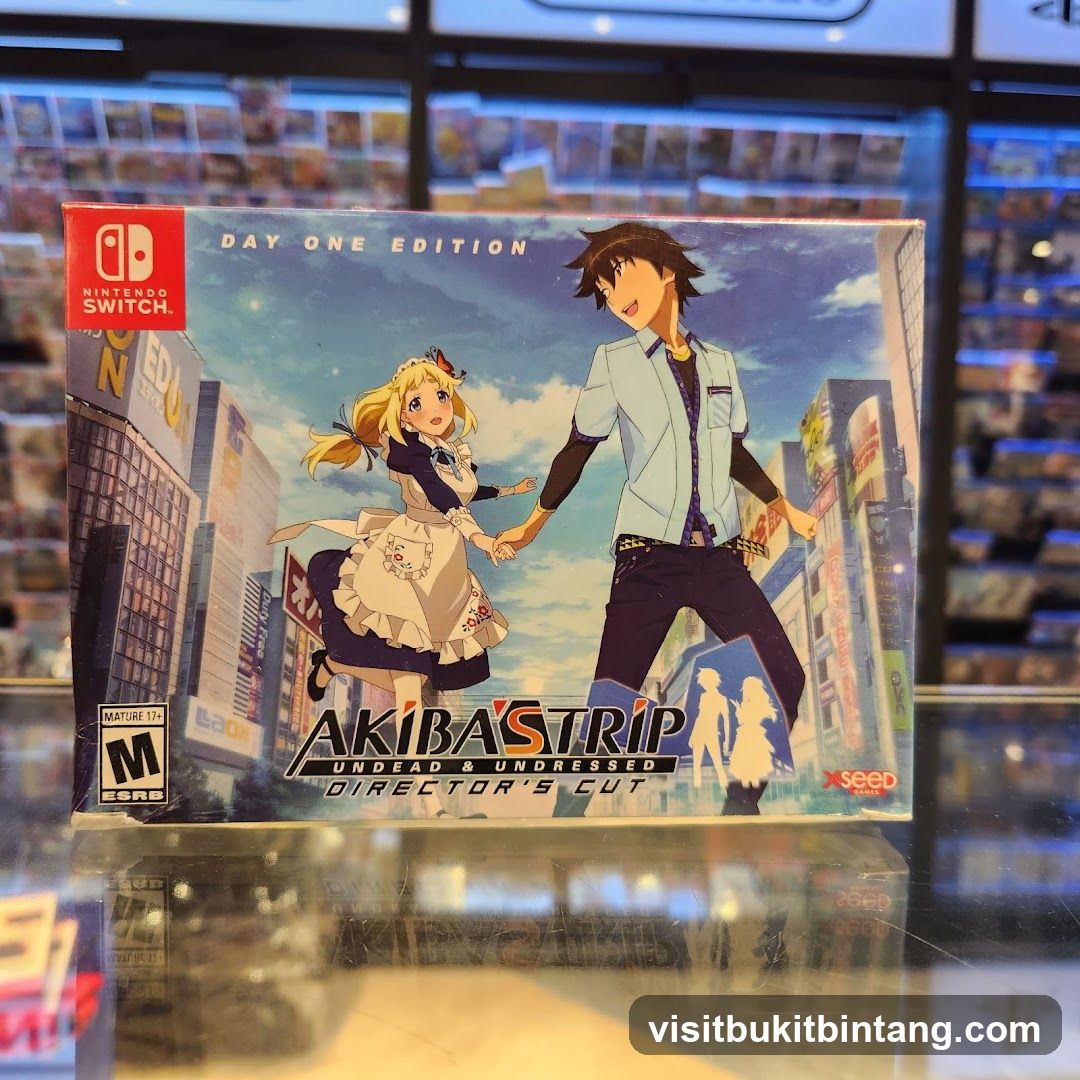 Akiba's Trip Undead & Undressed Director's Cut Game Box
