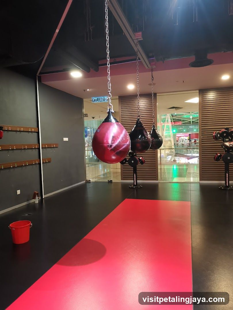 Gym Interior with Punching Bags