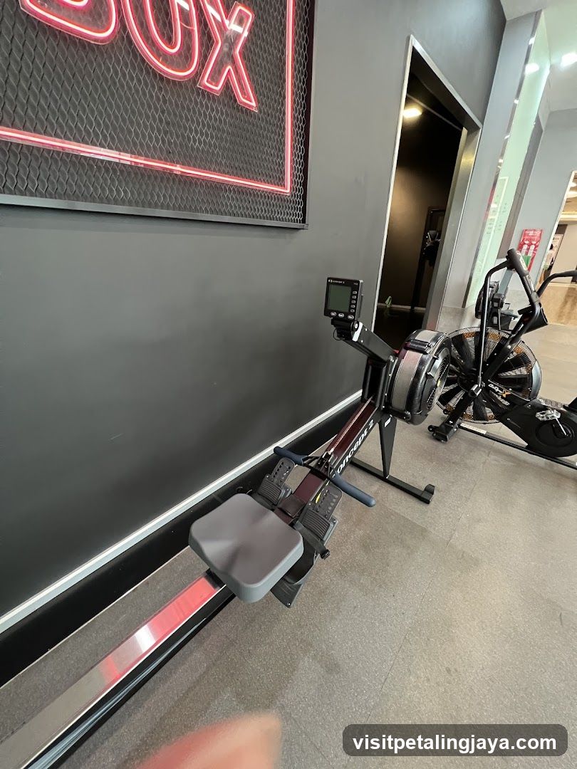 Gym Interior with Rowing Machine and Exercise Bike