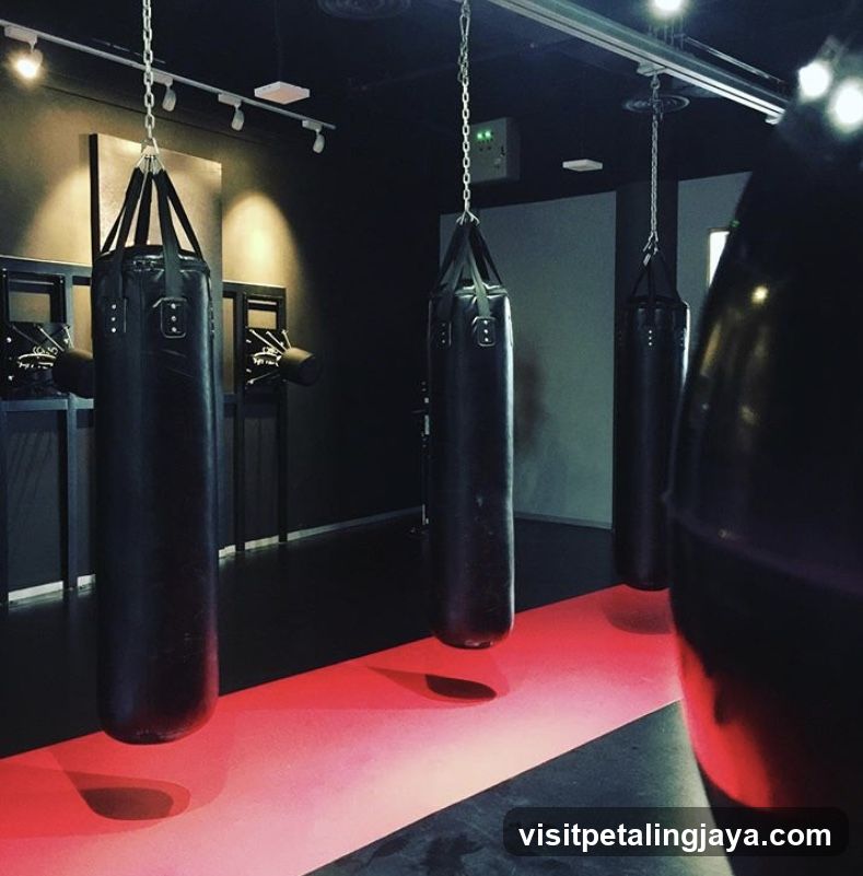 Gym Interior with Punching Bags