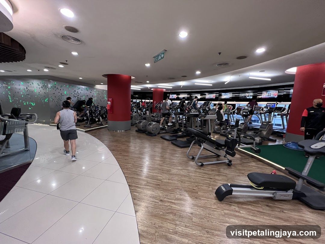 Gym Interior with Cardio Equipment