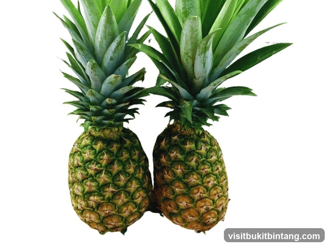 Two Pineapples