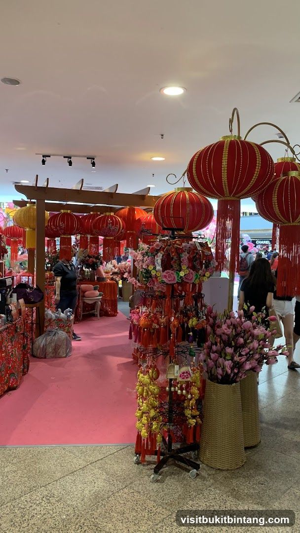 Chinese New Year Decorations