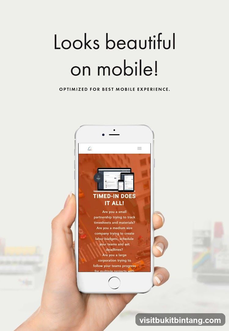 Mobile Optimization