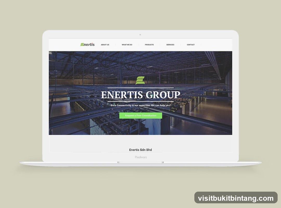 Enertis Group Website