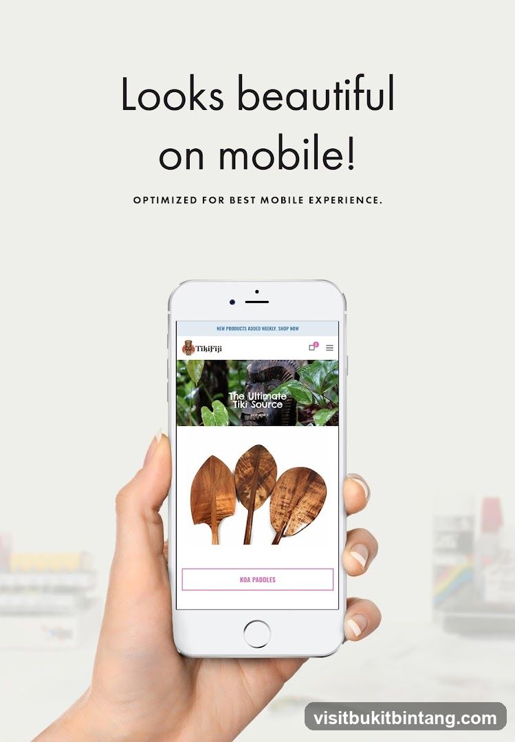 Mobile Website Display