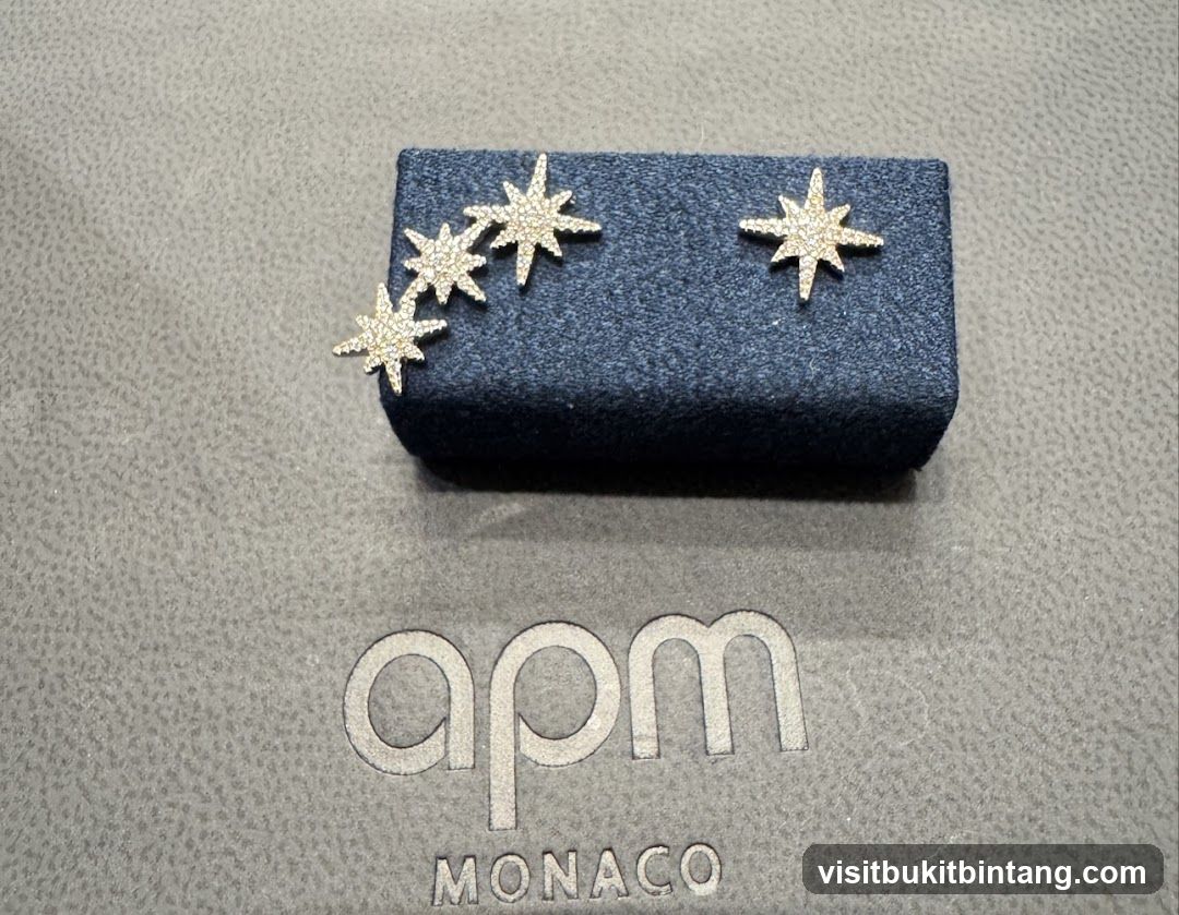Star Earrings