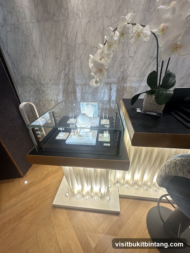 Jewelry Display Case