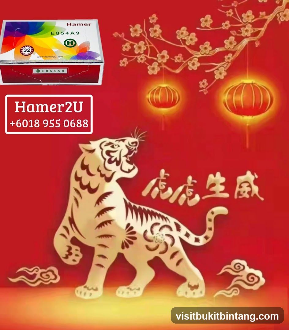 Hamer2U Chinese New Year Promotion