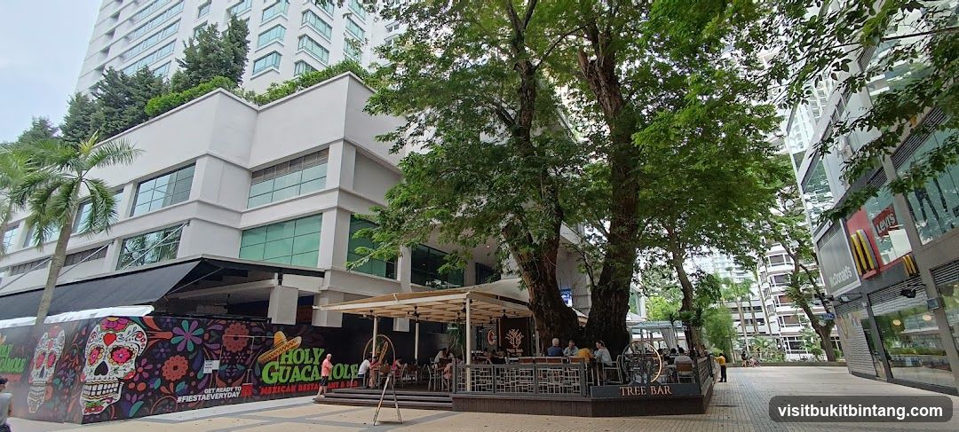 Outdoor dining area with large trees