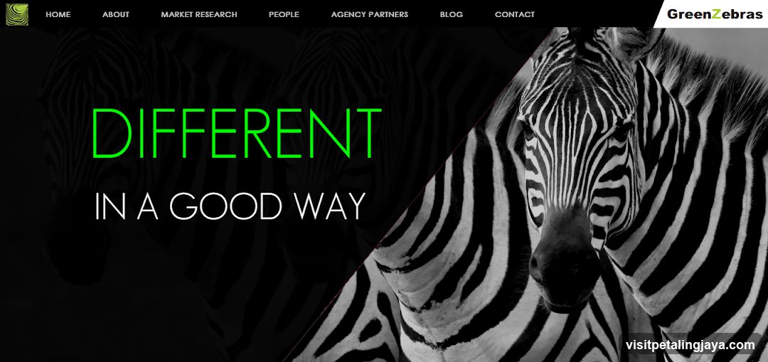 GreenZebras Website Landing Page