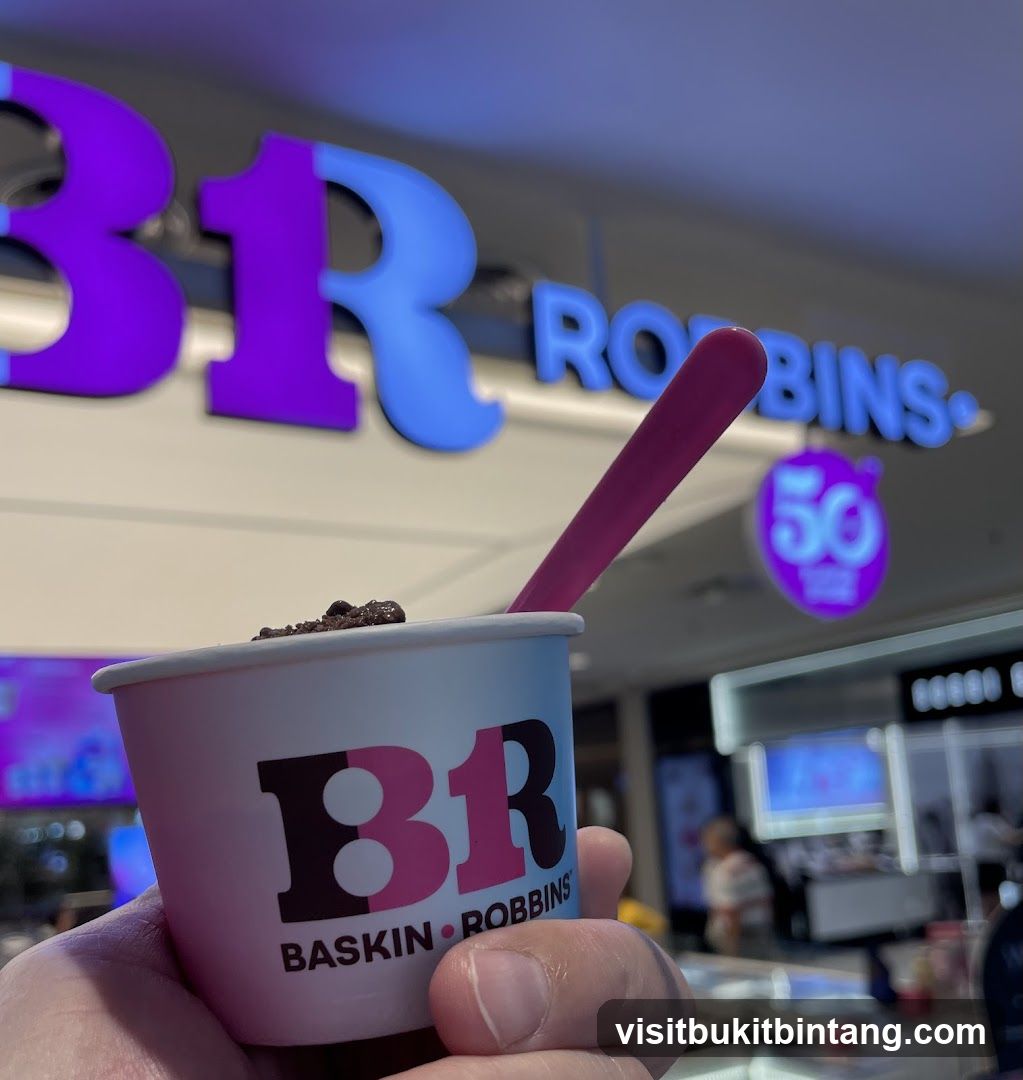 Baskin Robbins Ice Cream Cup