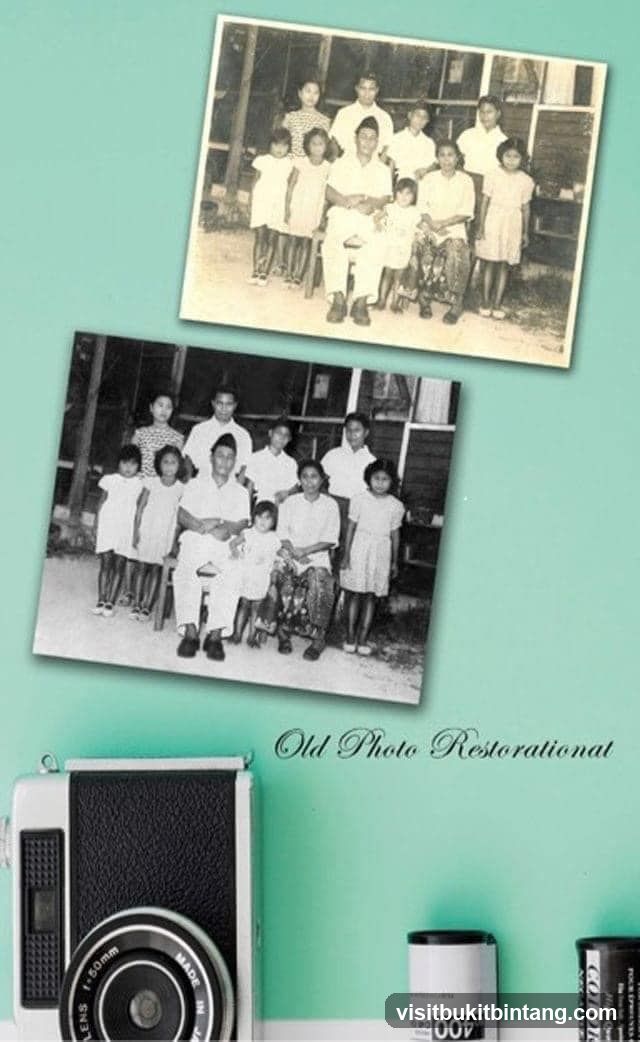 Old Photo Restoration