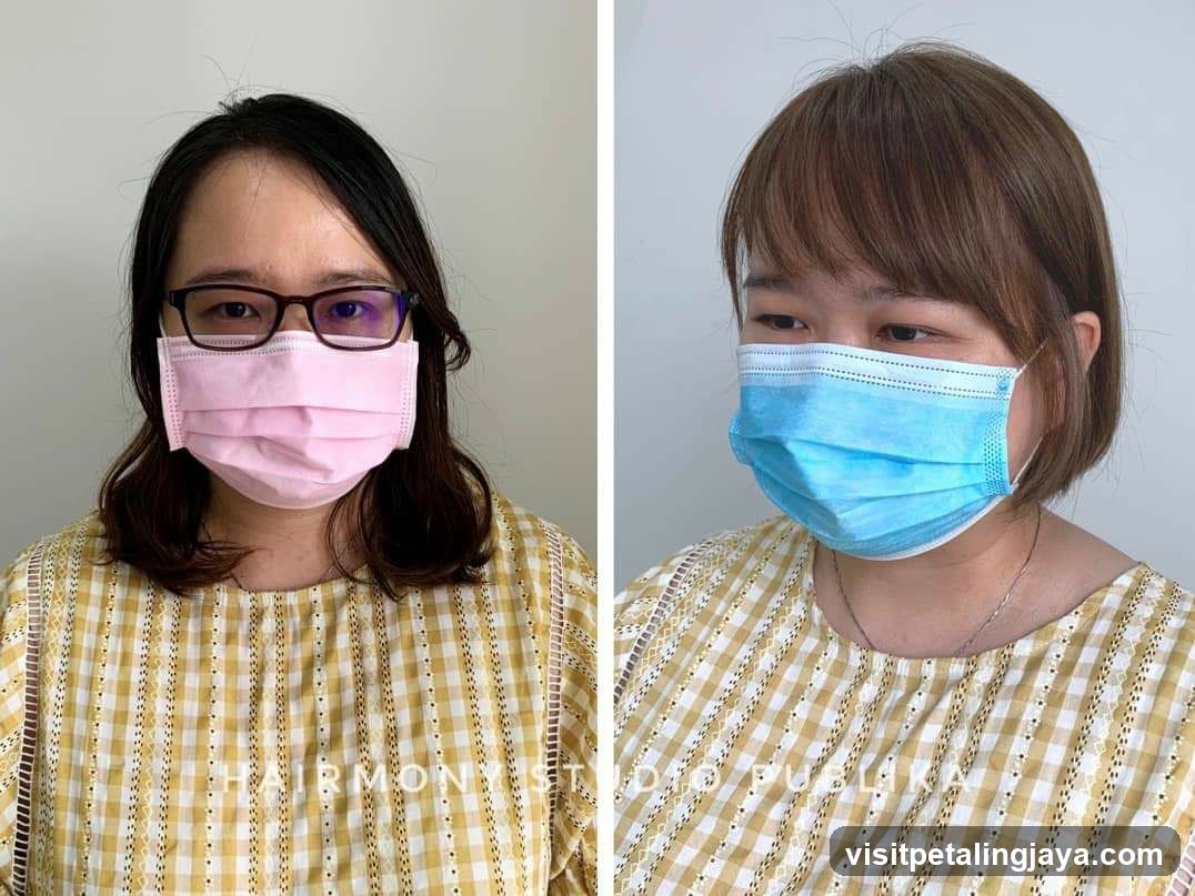 Masked Portrait Comparison