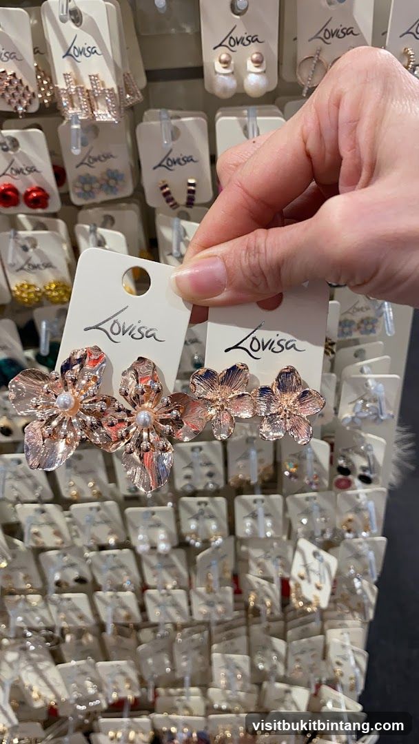 Earrings Display
