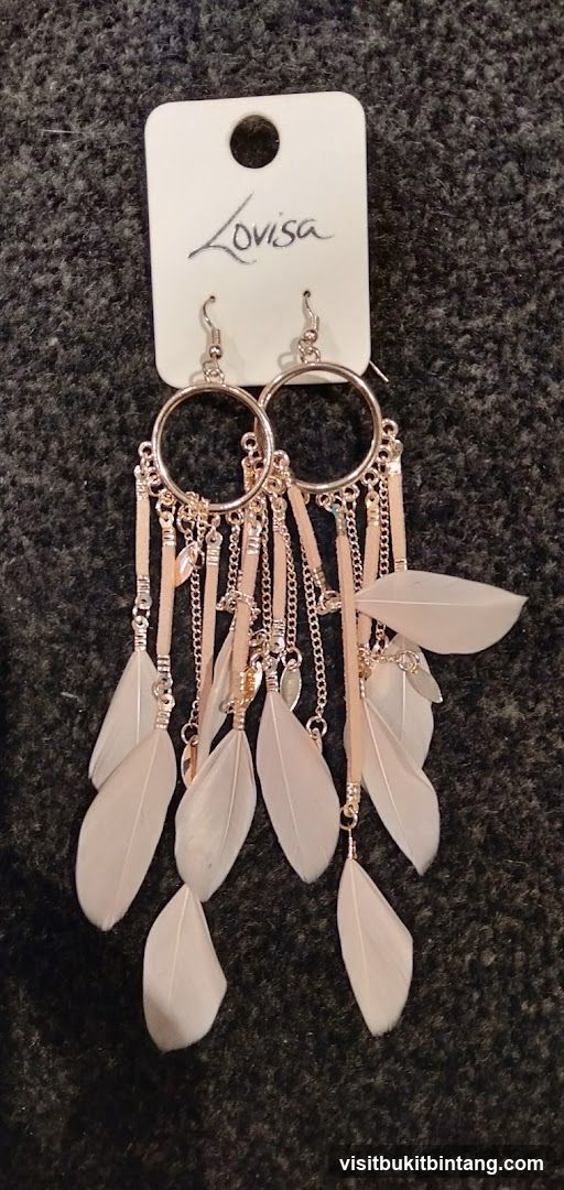 Lovisa Feather Earrings