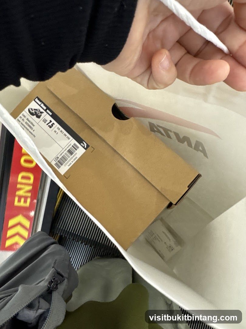 Shoe Box in Shopping Bag