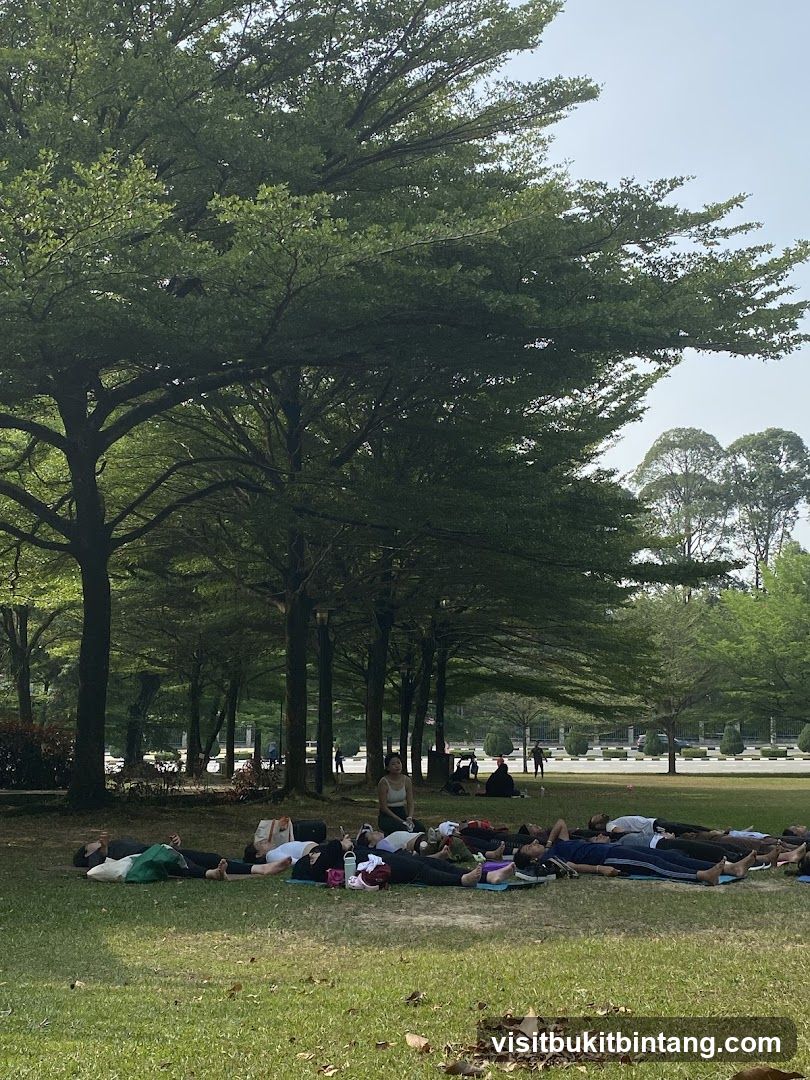 Outdoor Yoga Session