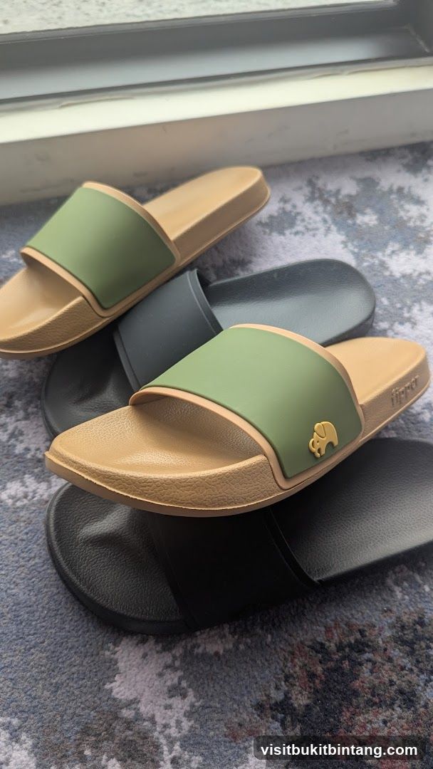 Slides