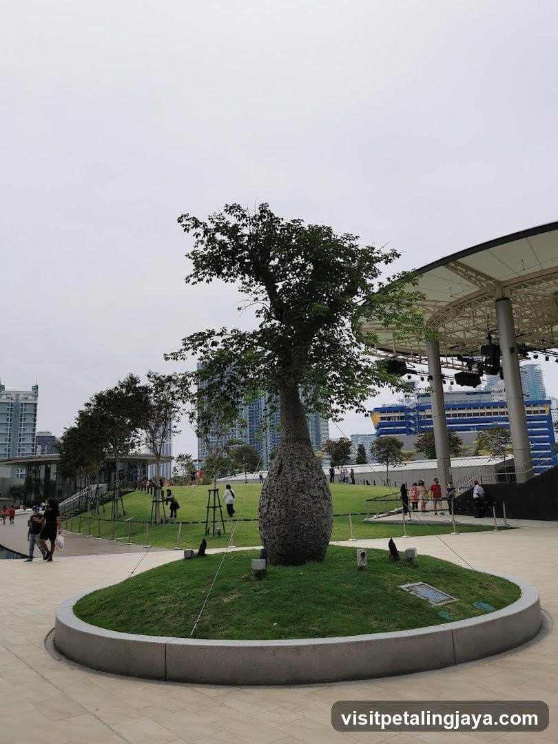 Tree in Urban Park