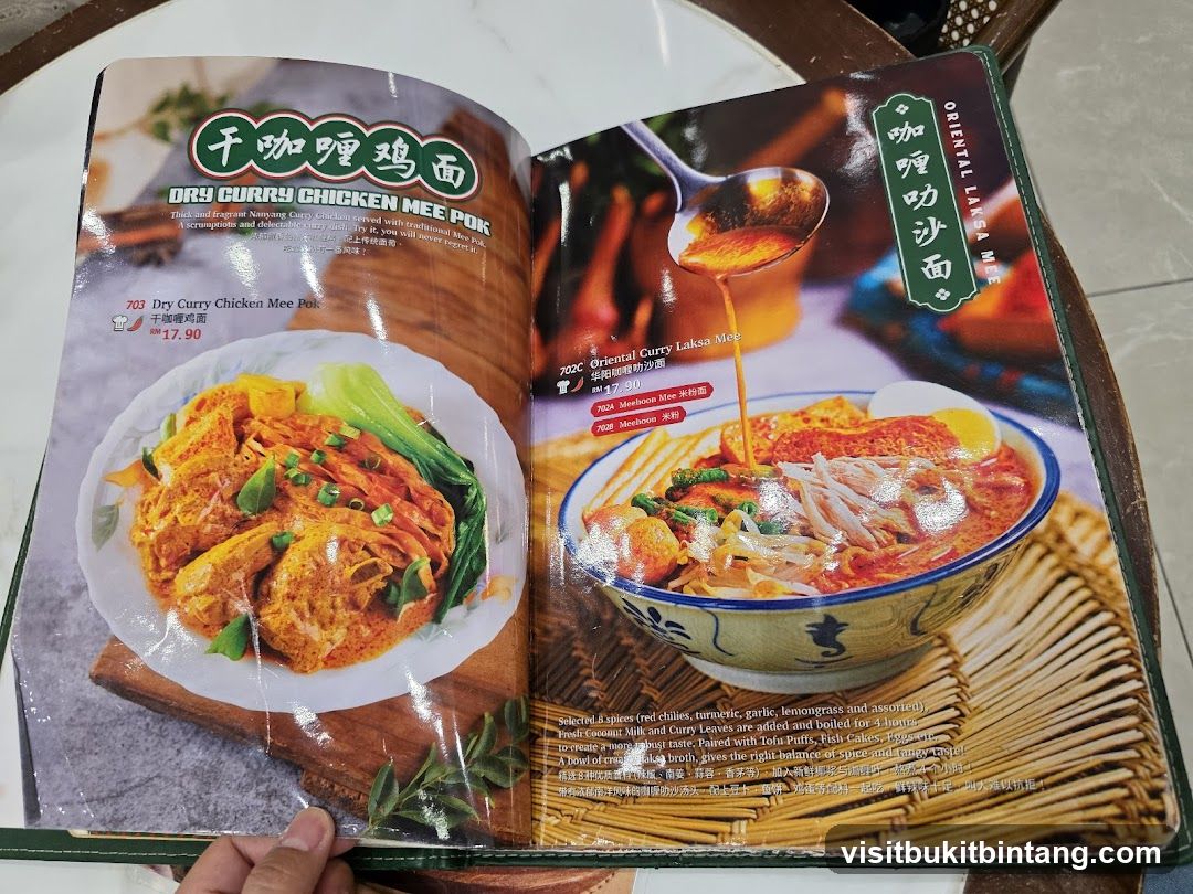 Dry Curry Chicken Mee Pok and Oriental Curry Laksa Mee