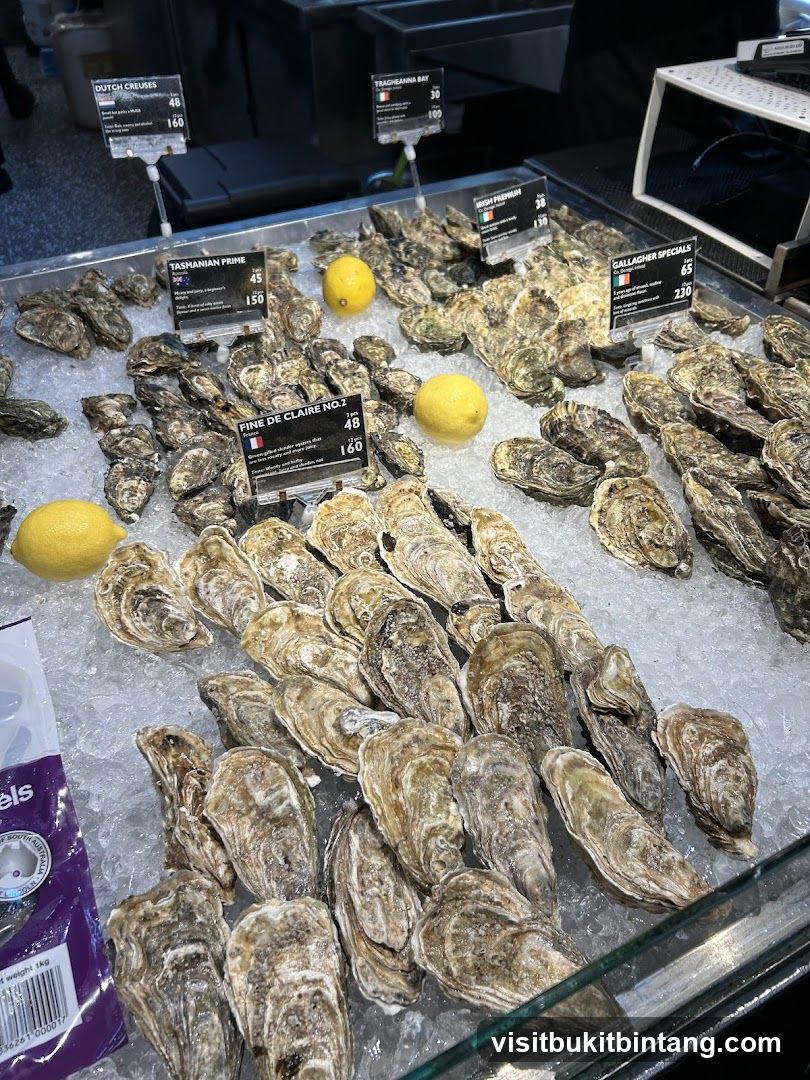 Oysters on Ice