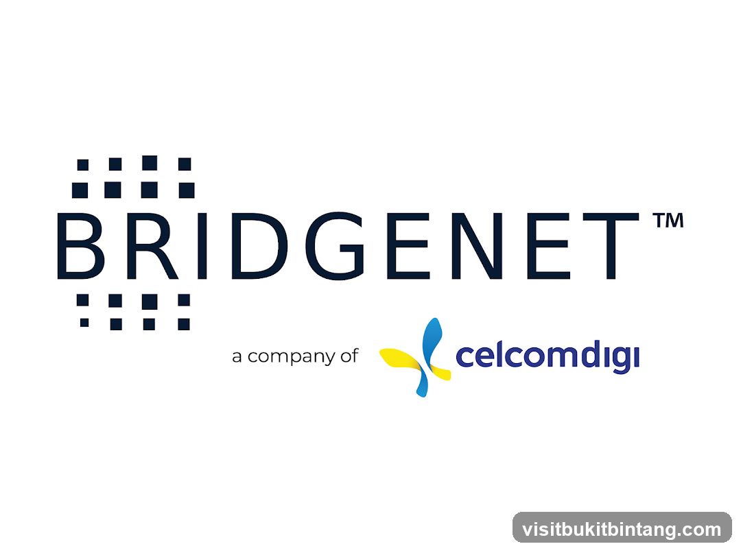 Bridgenet Solutions Sdn. Bhd.