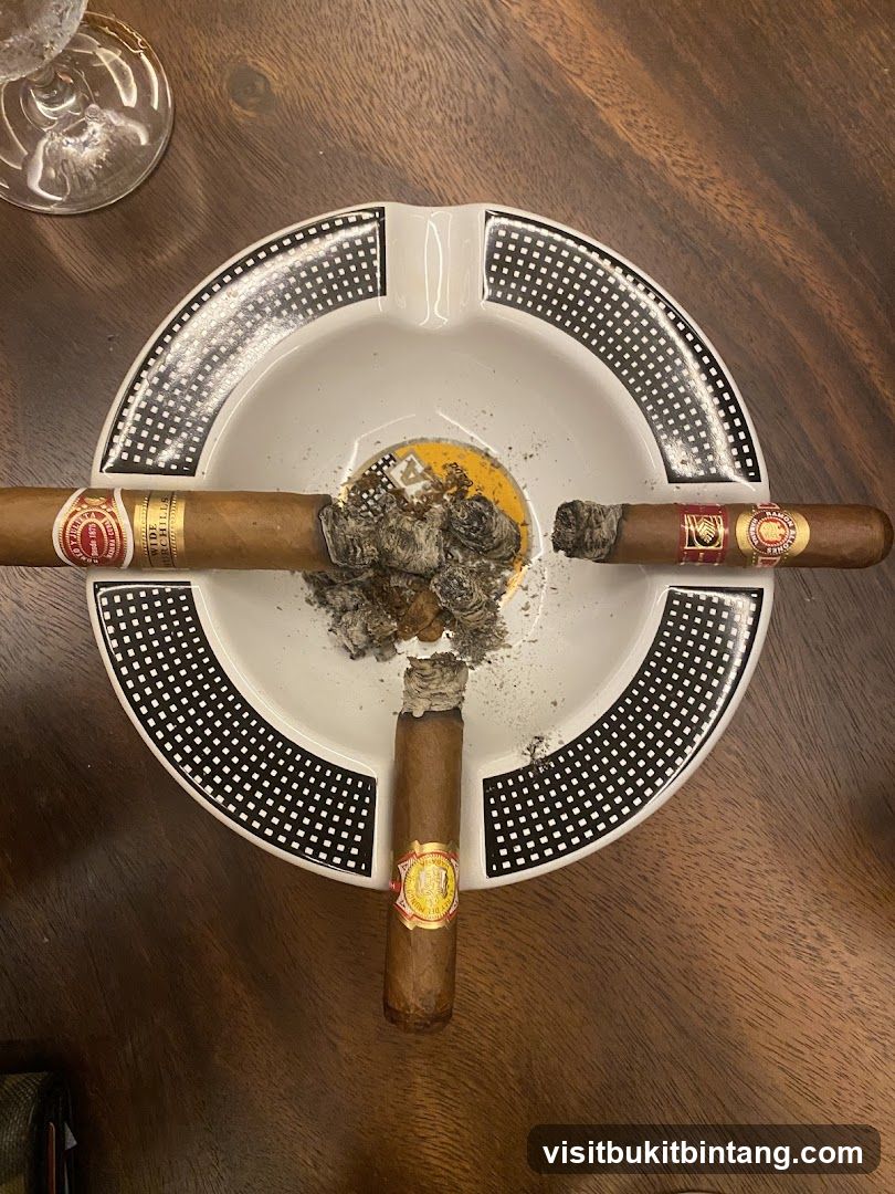 Cigars in an Ashtray