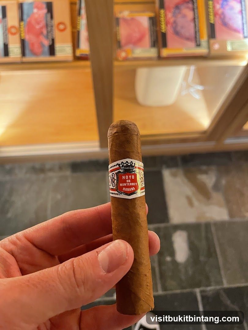 Cigar with Packaging